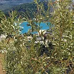 Filippos 阿尔戈斯托利翁