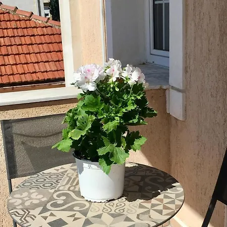 Filippos Apartman Argosztóli