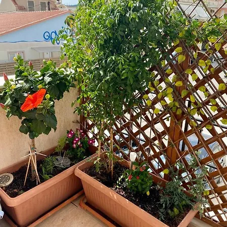 Apartman Filippos Argosztóli