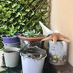 Filippos Apartamento Argostoli (Kefalonia)