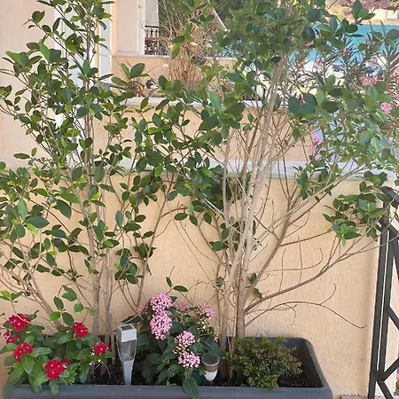 Filippos * ארגוסטולי