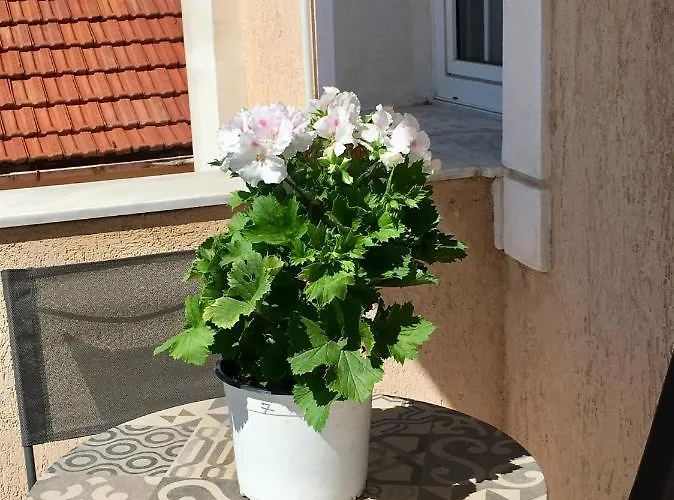 Filippos Lejlighed Argostoli (Kefalonia)